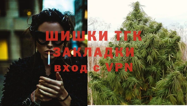 кокаин Белокуриха