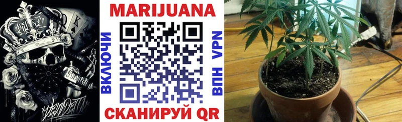 Бошки марихуана THC 21%  кракен вход  Киров  дарнет шоп 